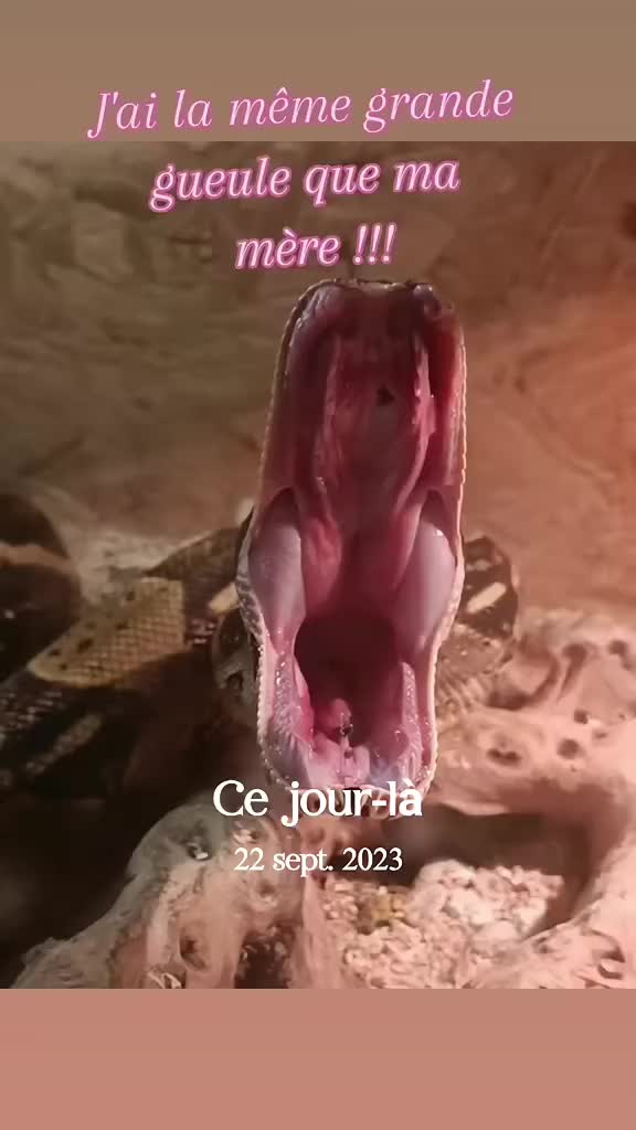 @ð·ððððð ððð ððððð