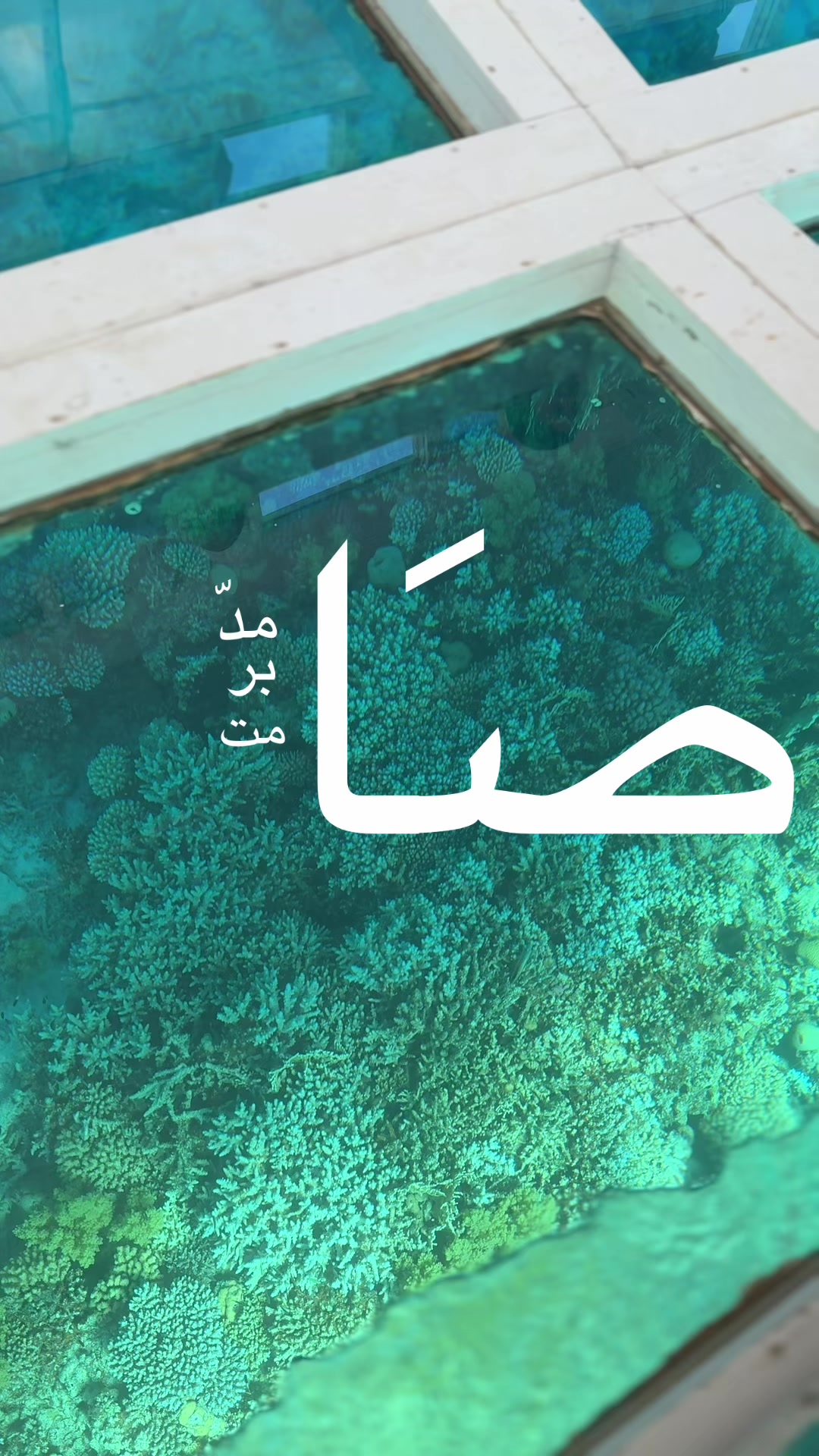 @جـ𓍯ود🦢✨