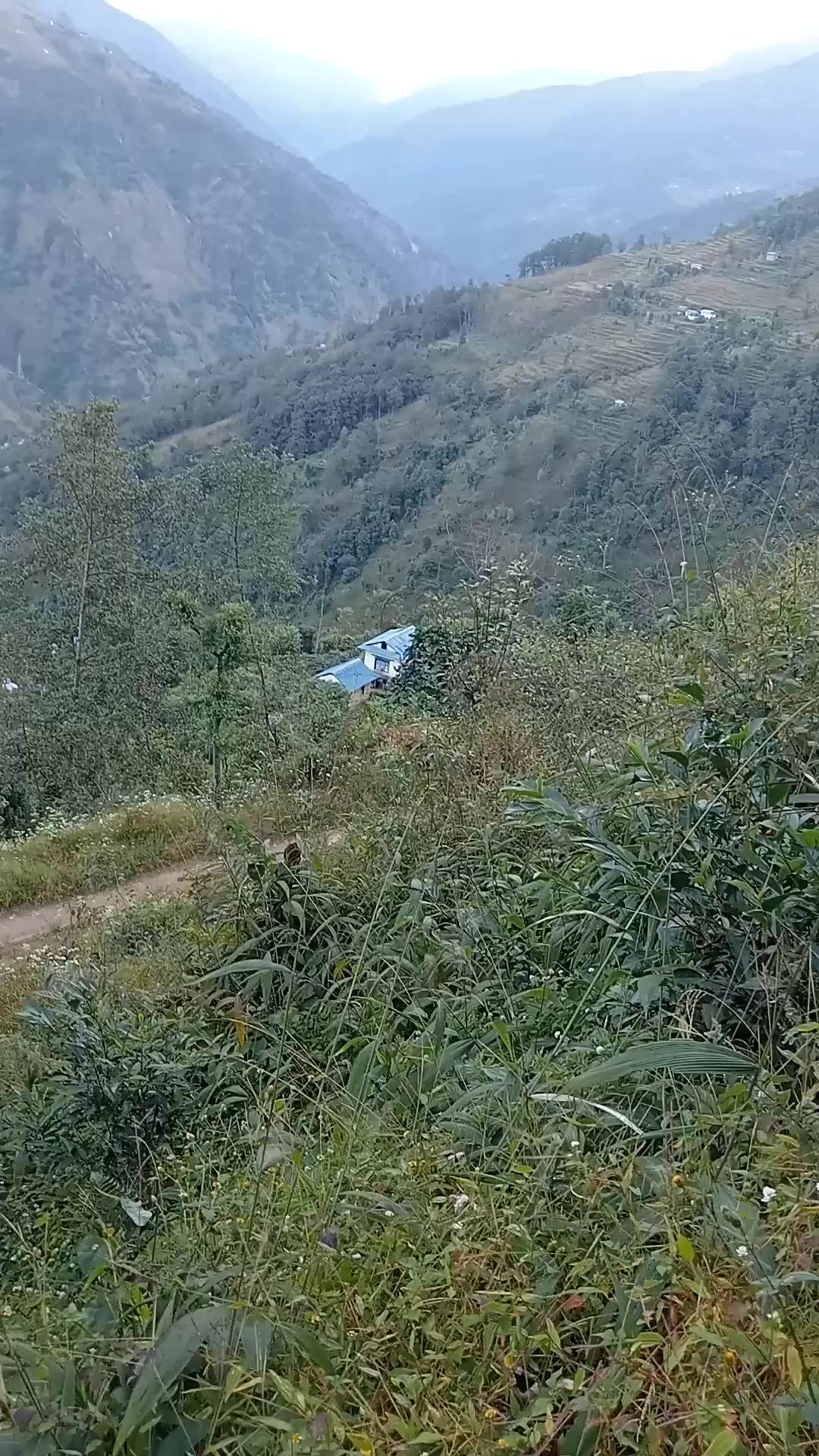 @बिन्दास