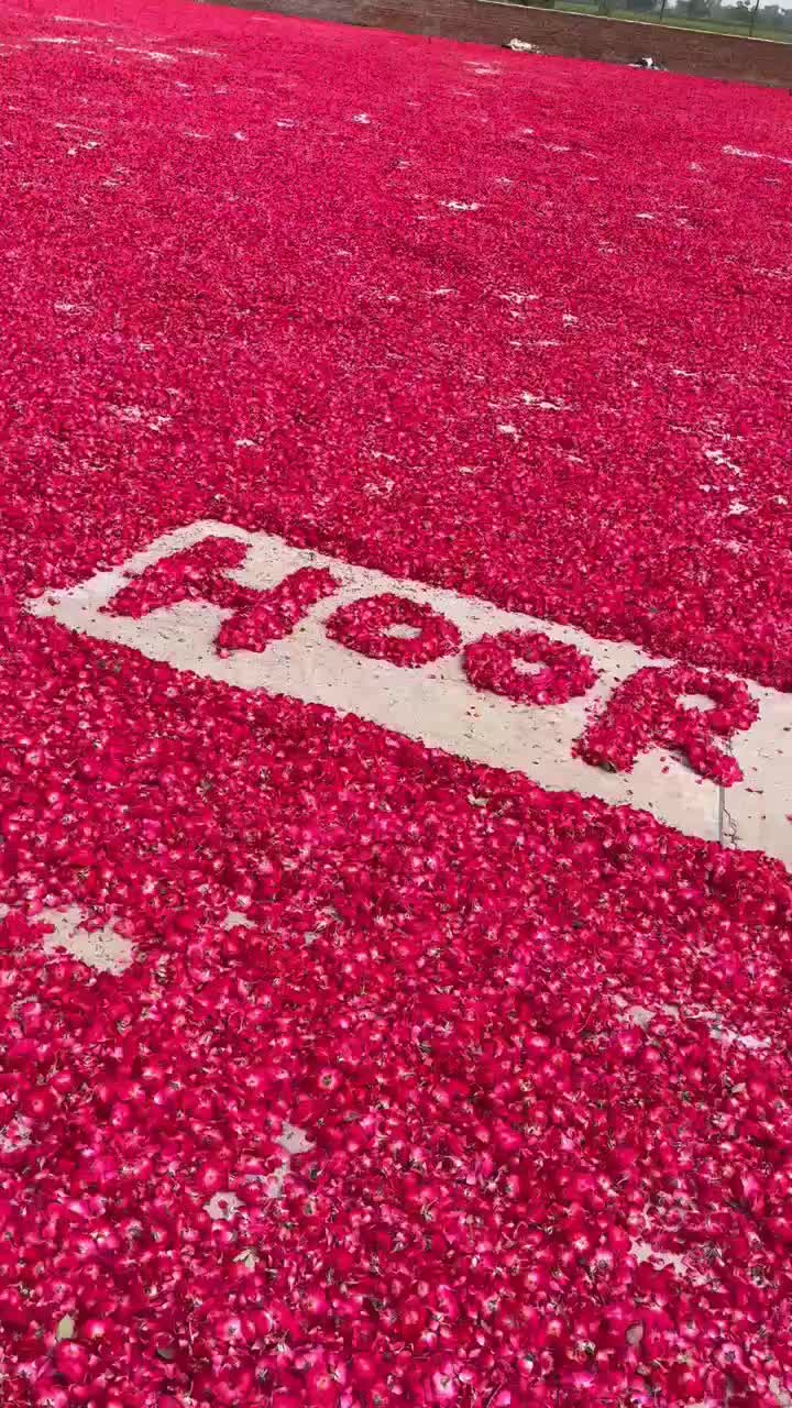 @🌷𝐒𝐇𝐀𝐍 𝐅𝐋𝐎𝐖𝐄𝐑𝐒🌷