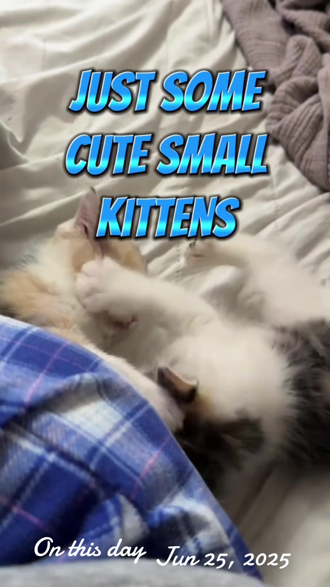 @CraftyLori🧵sews rite