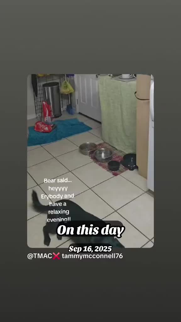 @TMAC❌️ tammymcconnell76