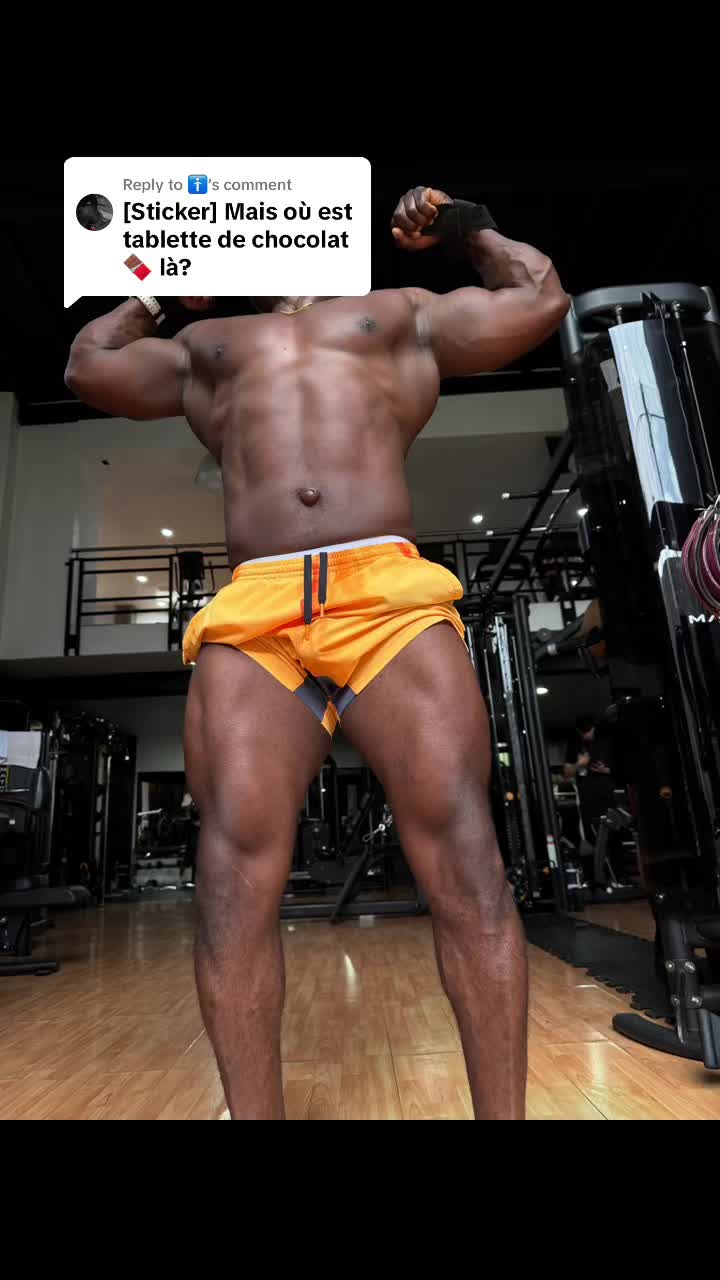 @Bolodiesel