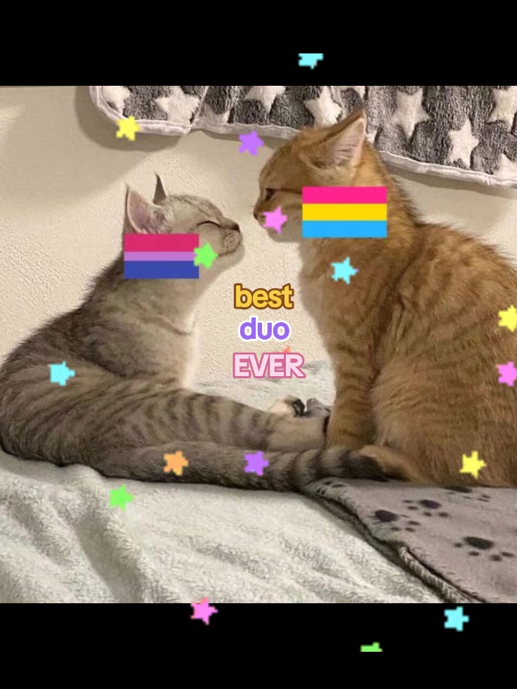 @˚₊‧꒰ა ⚘. ໒꒱ ‧₊˚