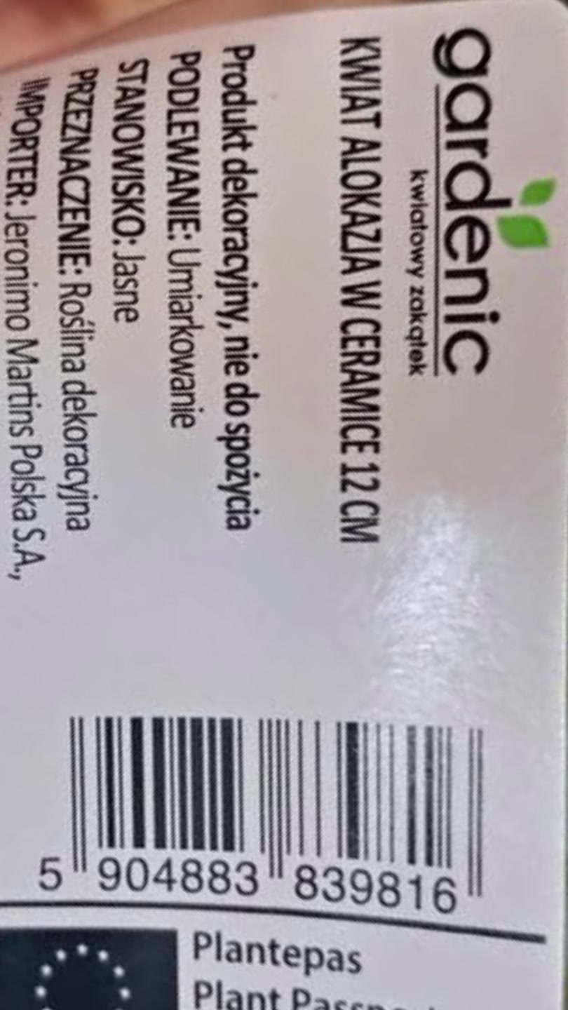 @maciej.plants