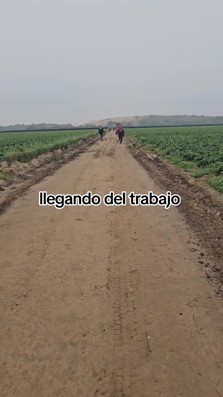 @🇲🇽🐦⬛🪺VASQUEZ🚚🌪💎