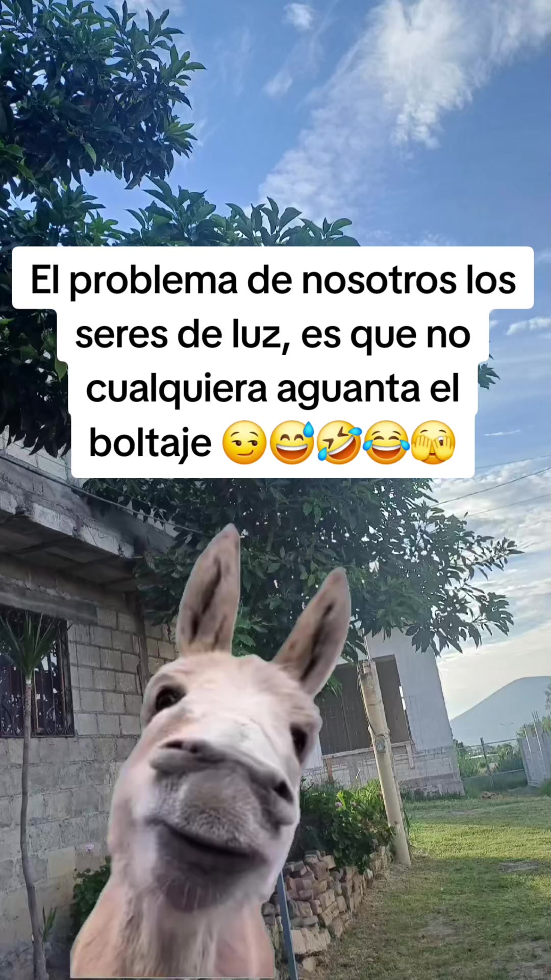 @✨️🫀la Güera🕊🍓