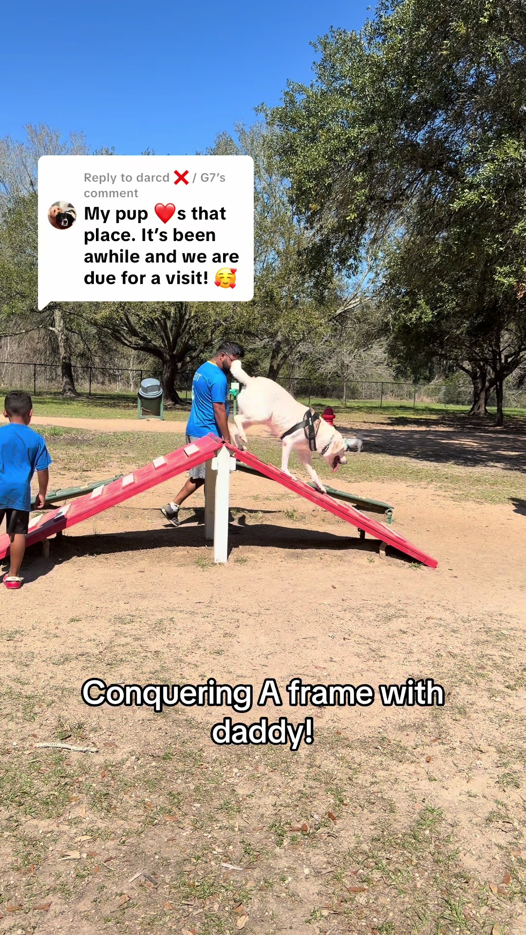 @Buddy_the_lab