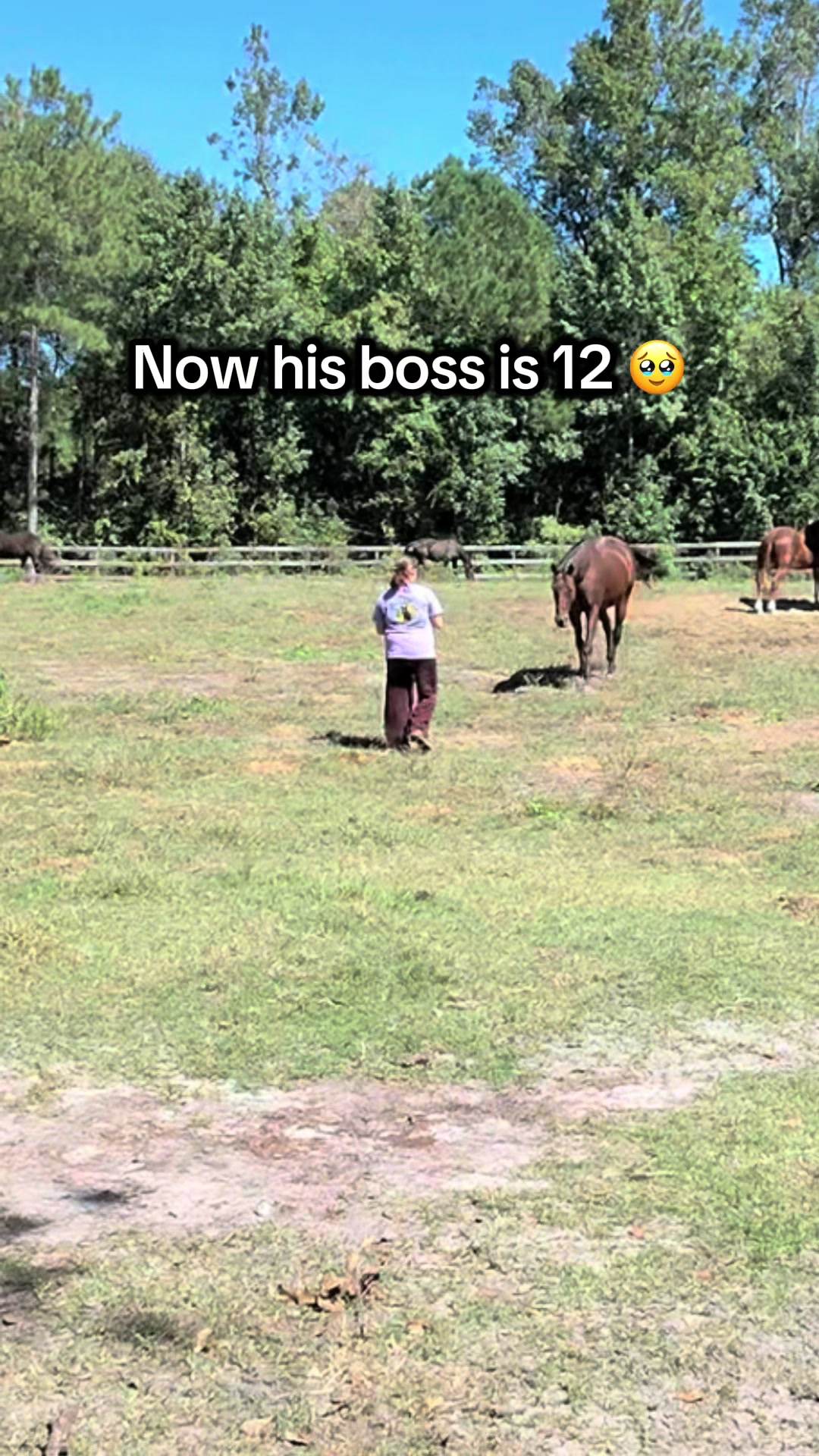 @Lacy & Shooter the OTTB