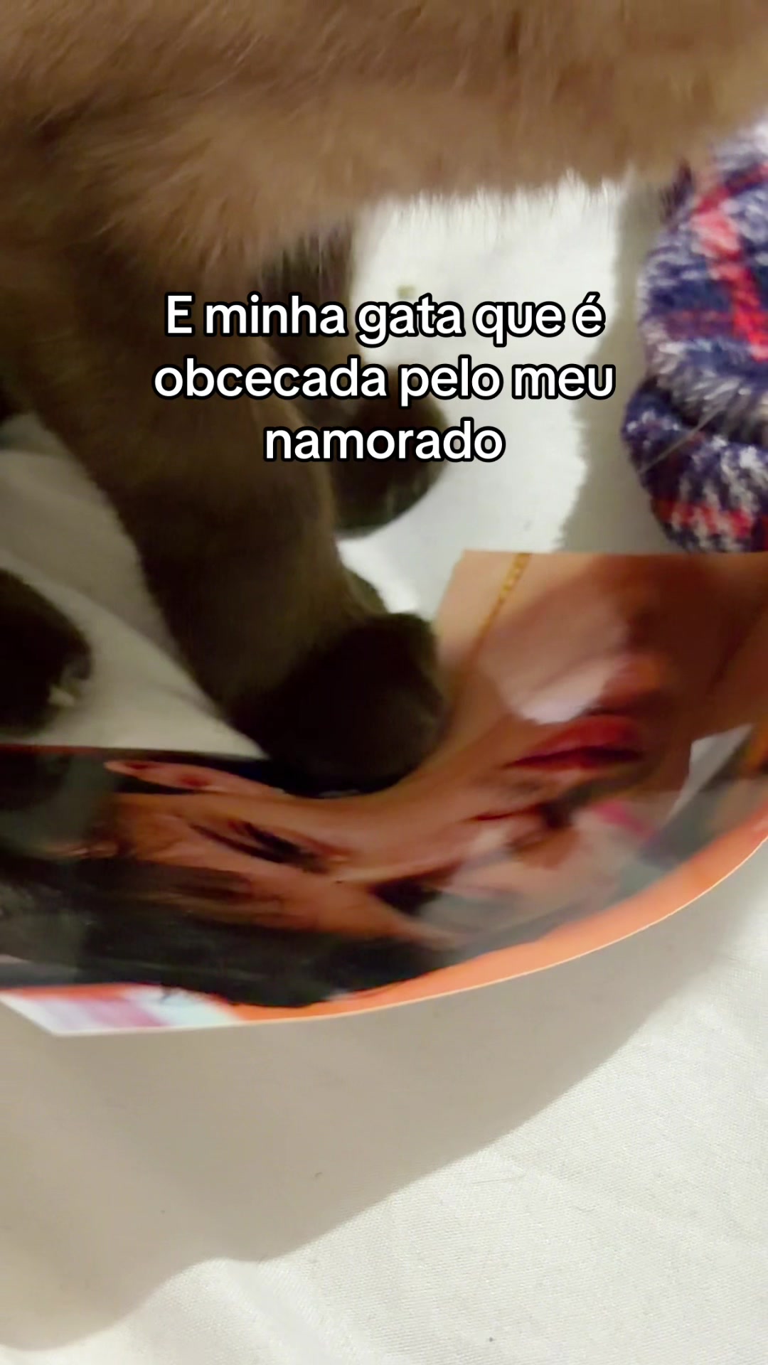@Bruna D&uuml;tra