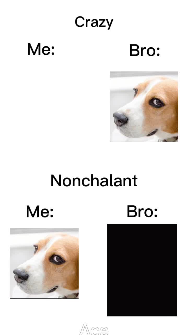 @21🔄