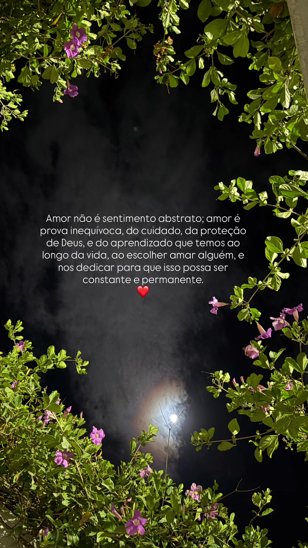 @Cyntia Fernanda - Amputada