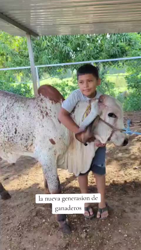 @Rancho El guanaco