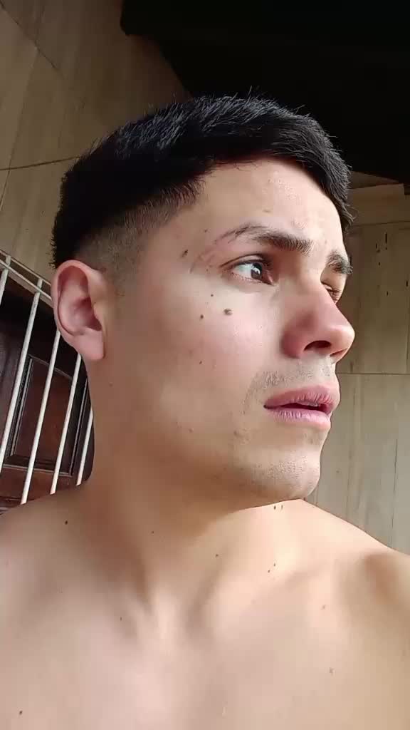 @León gavilán 🦁 🦅