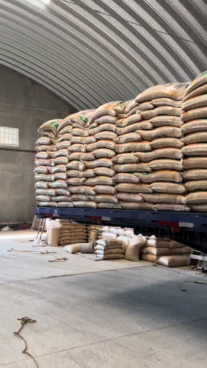 @Granos y Semillas Patria 🌽