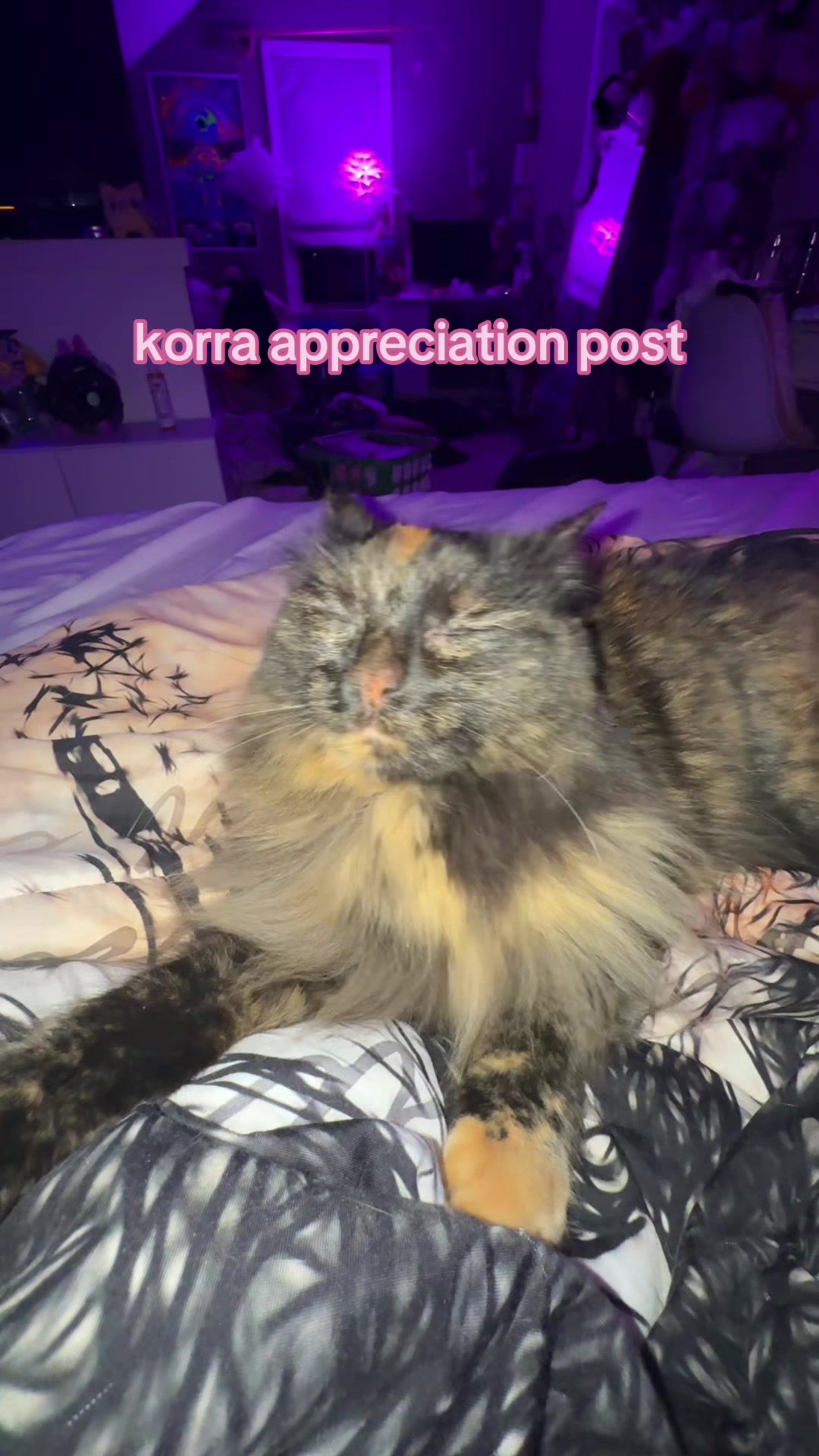 @⠀ ⠀ ⠀ ⠀ ⠀ ⠀