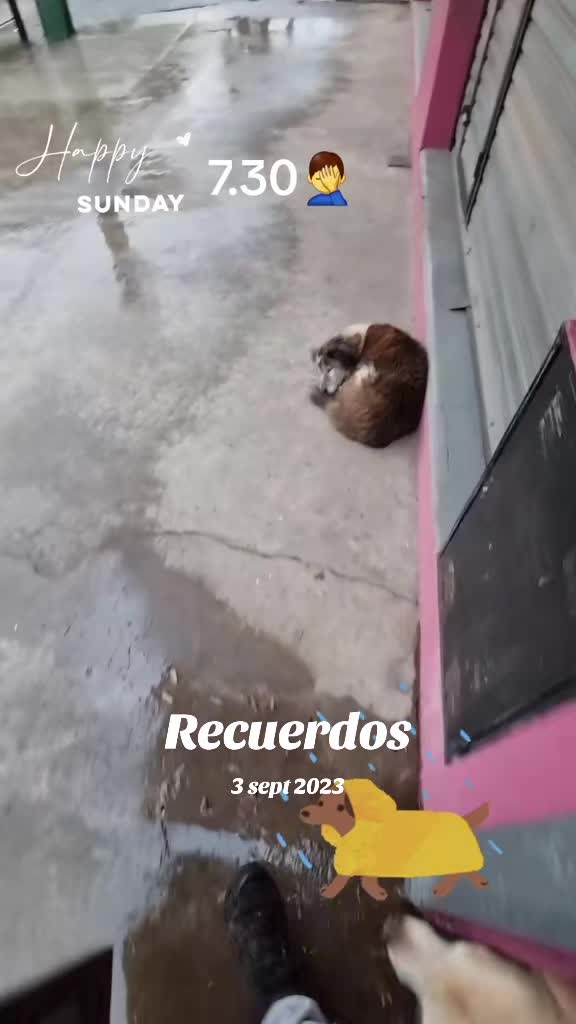 @Fabi_fole