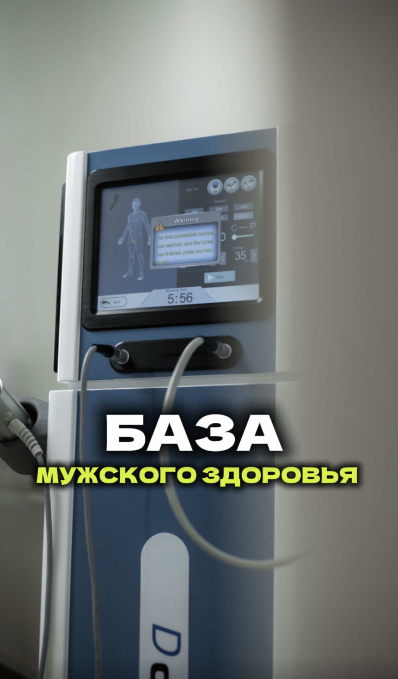 @mediart.kz