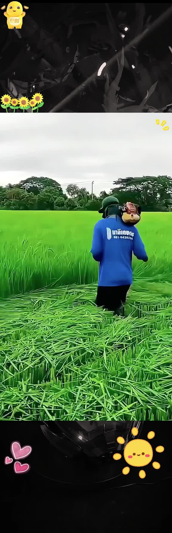@Lucky
