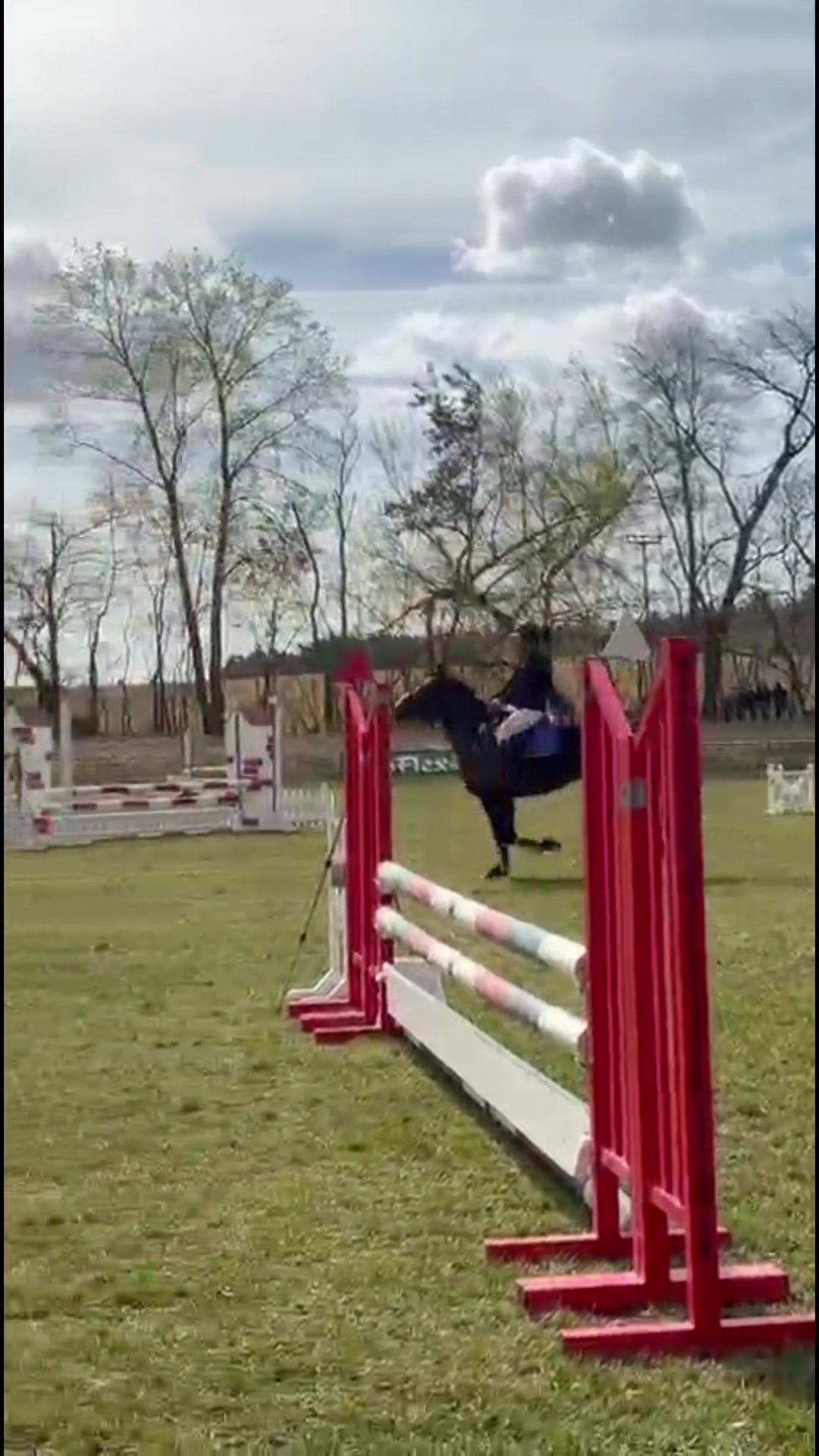 @springpony_donar