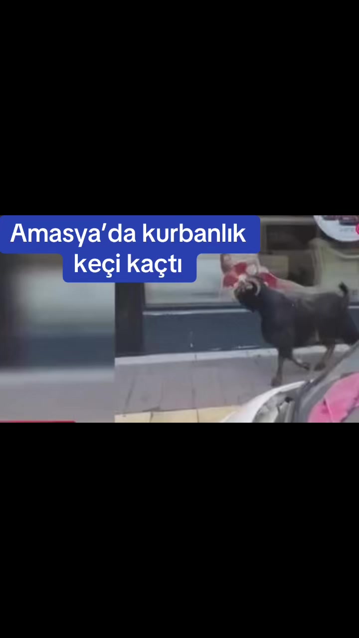 @HABERG&Uuml;NEBAKIŞ