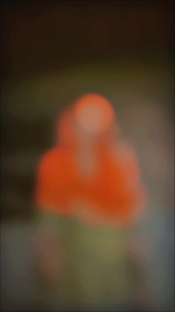 @Rengila sahani
