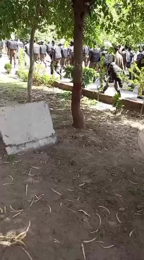 @RMP (نام ہے کافی ہے )