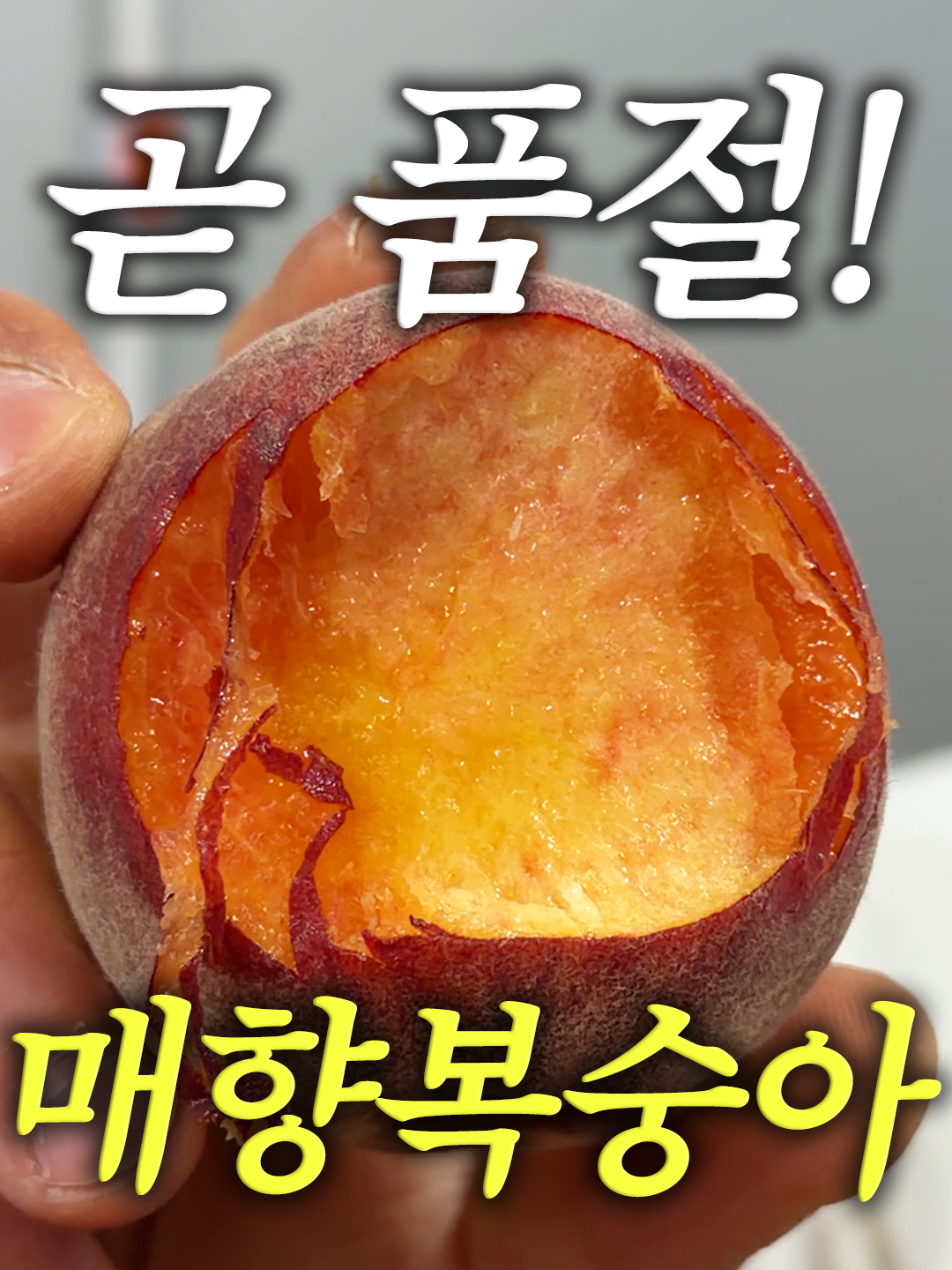 @해운대송사장