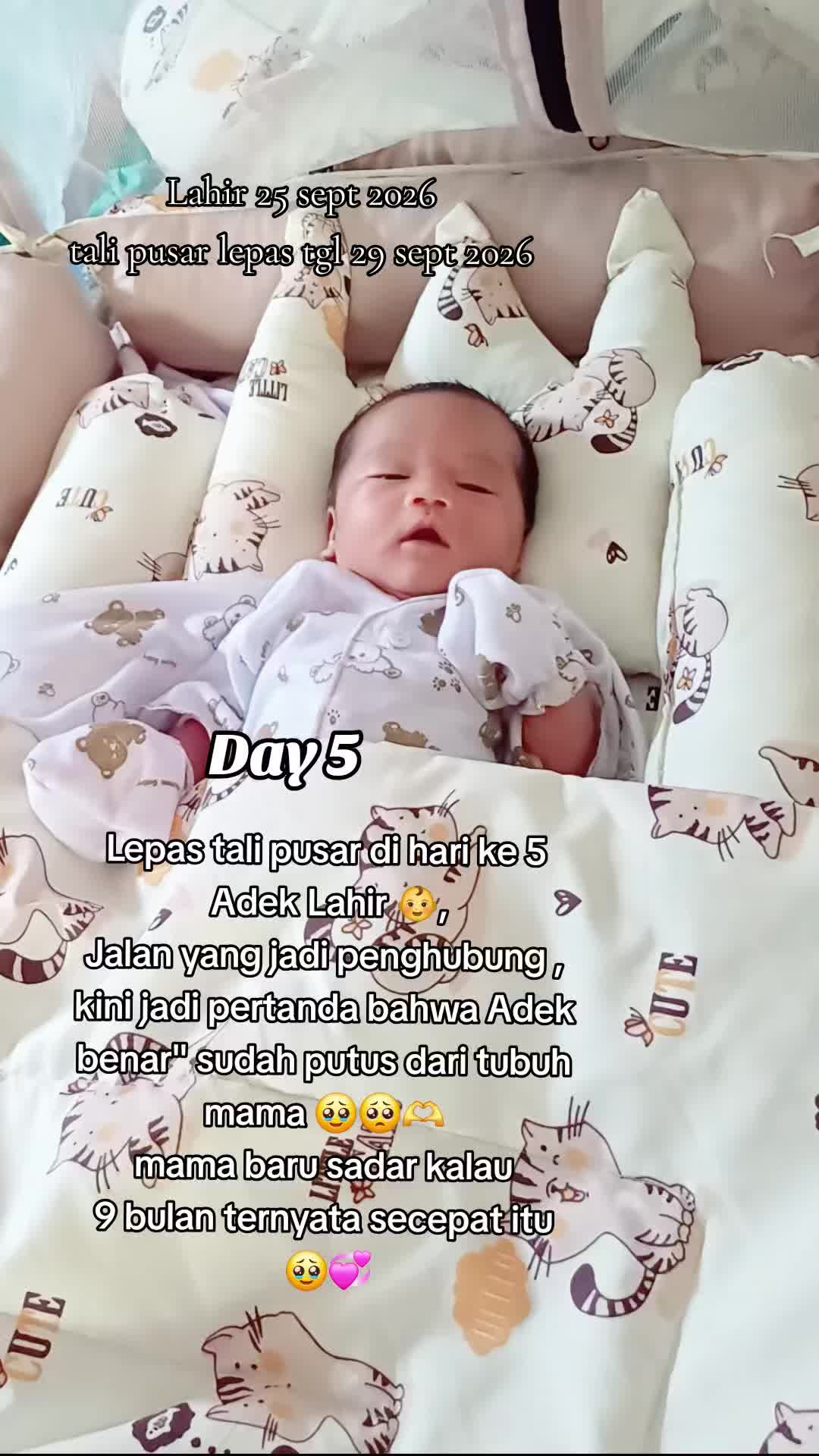 @Afa_Fajriyah🍁