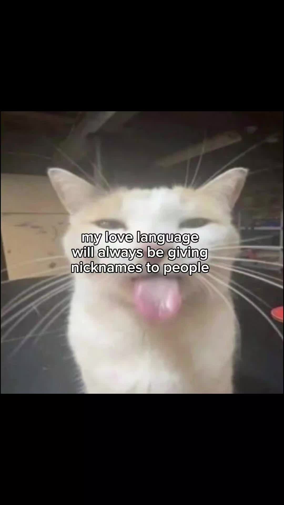 @Shinako