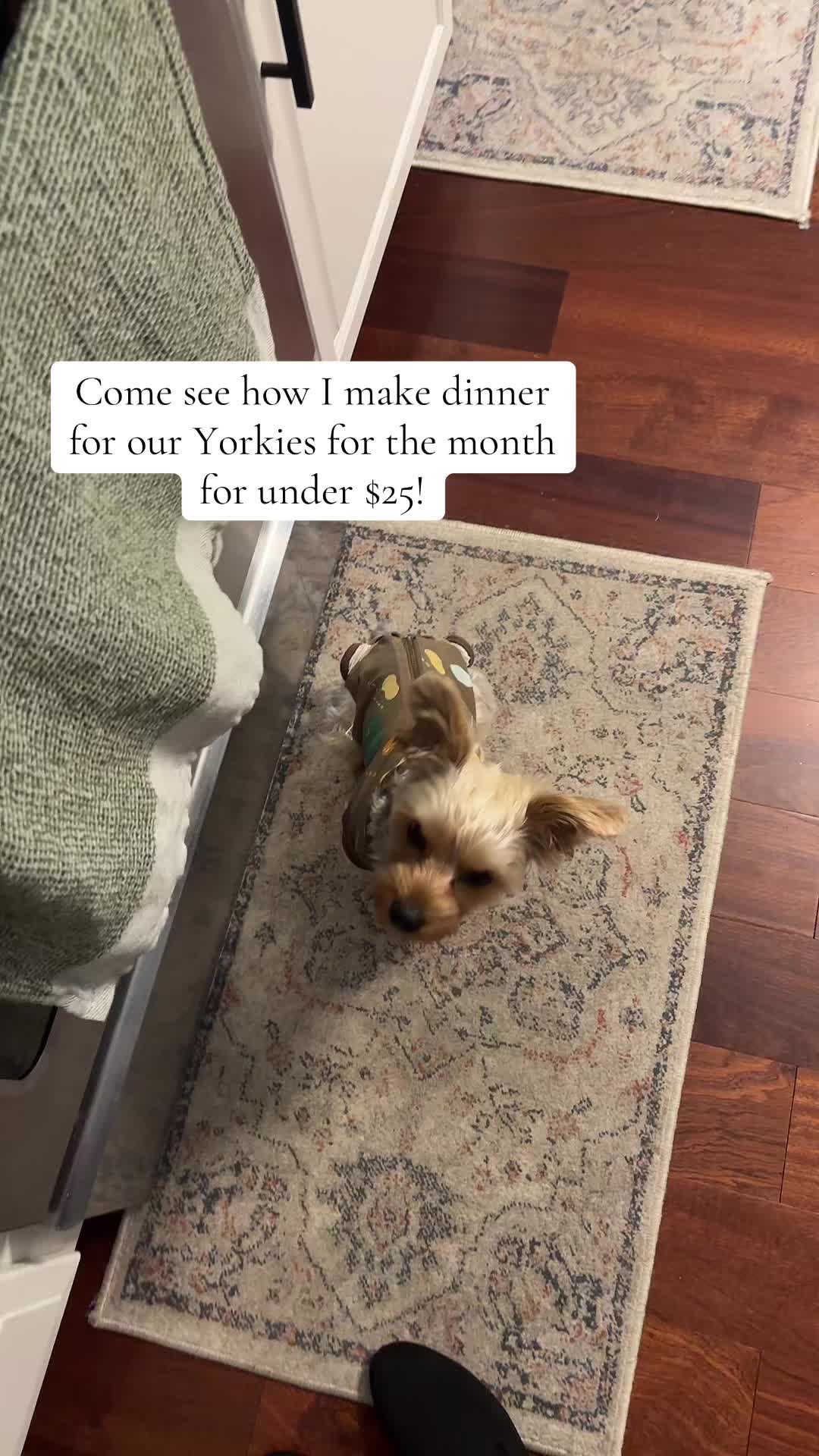 @LuluDexLiving