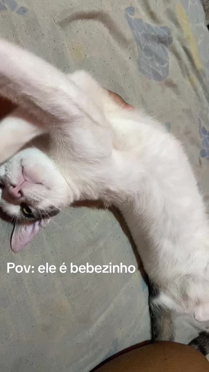 @victoria_atletawellness