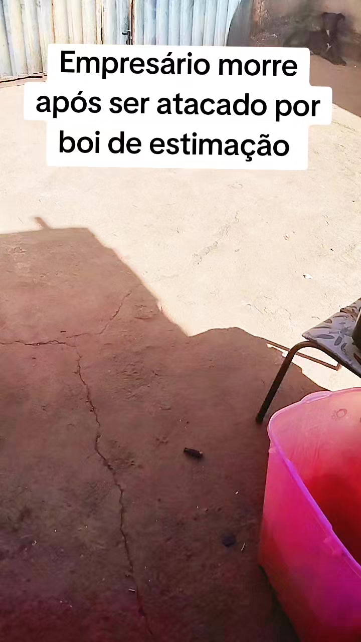 @jovelina.noticias