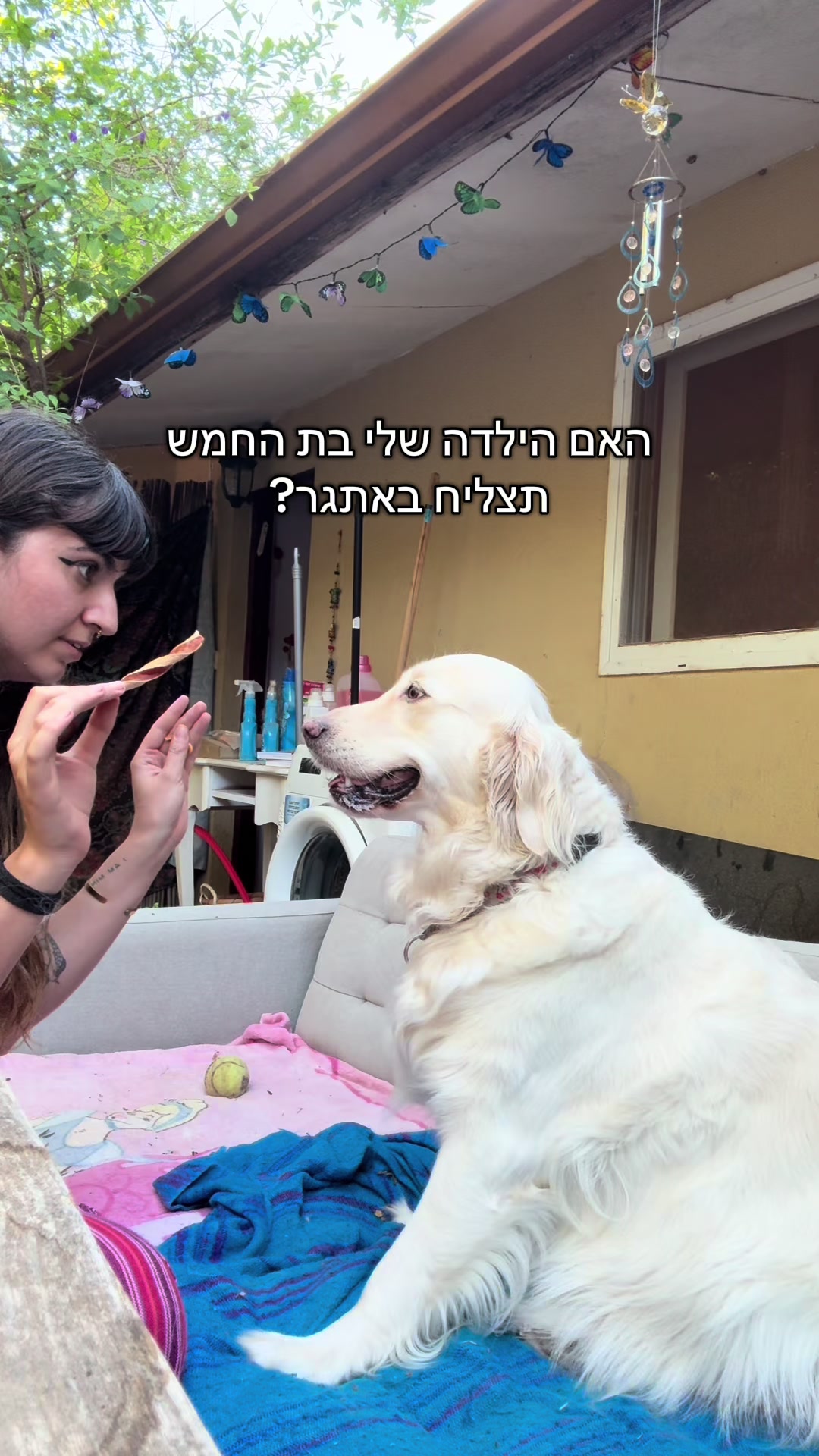 @מאיוש קושקוש
