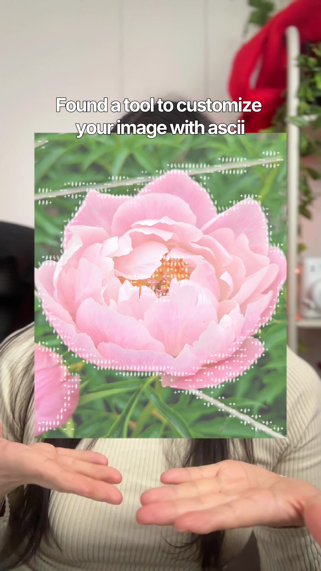 @Kim