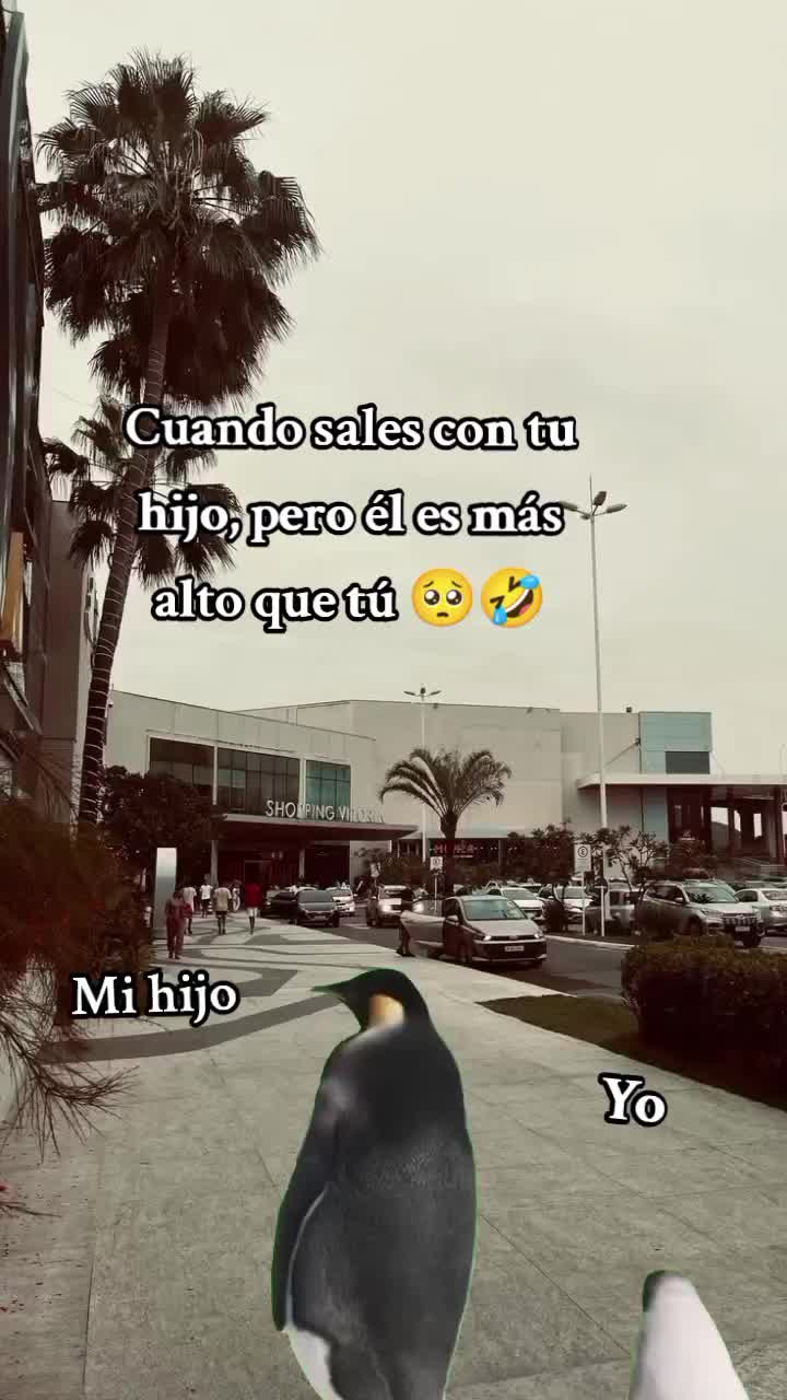 @⚓🍀More🍀⚓