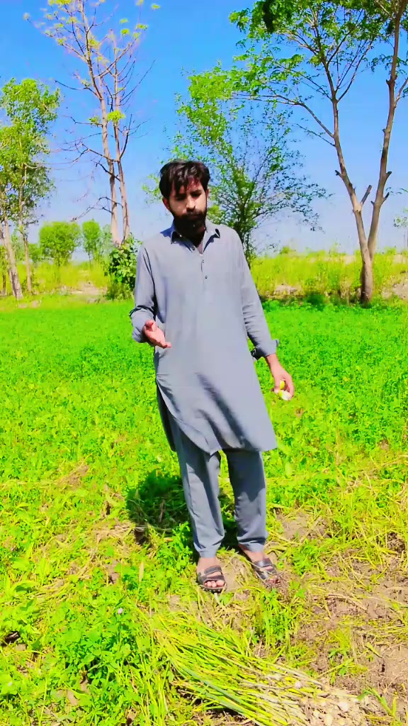 @Ranasab&spades;️