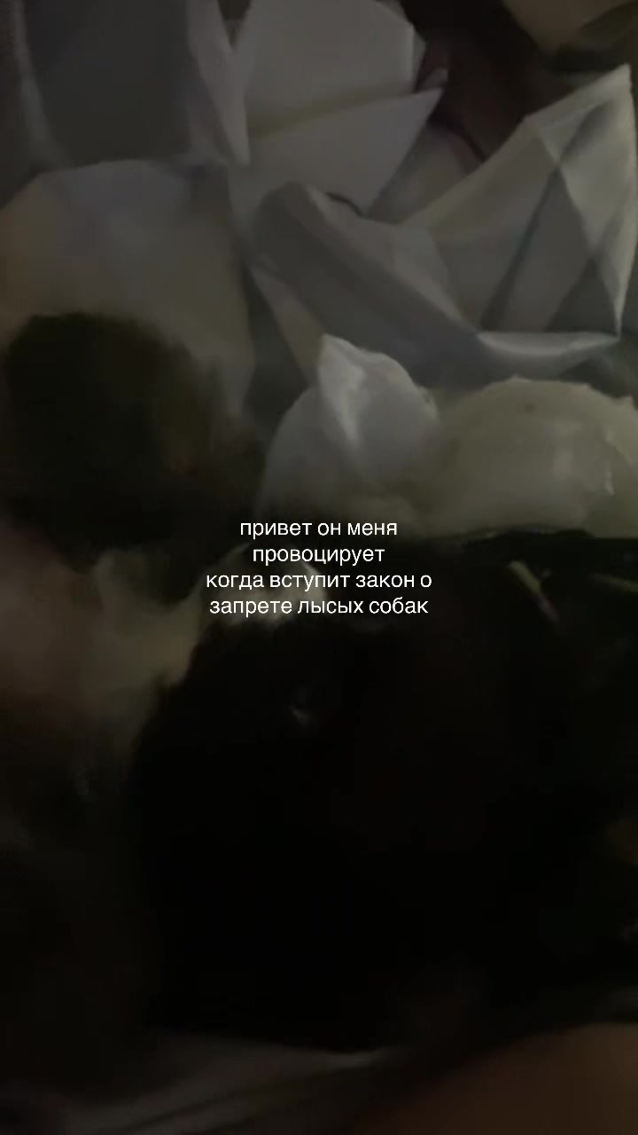 @афсянка бигмак