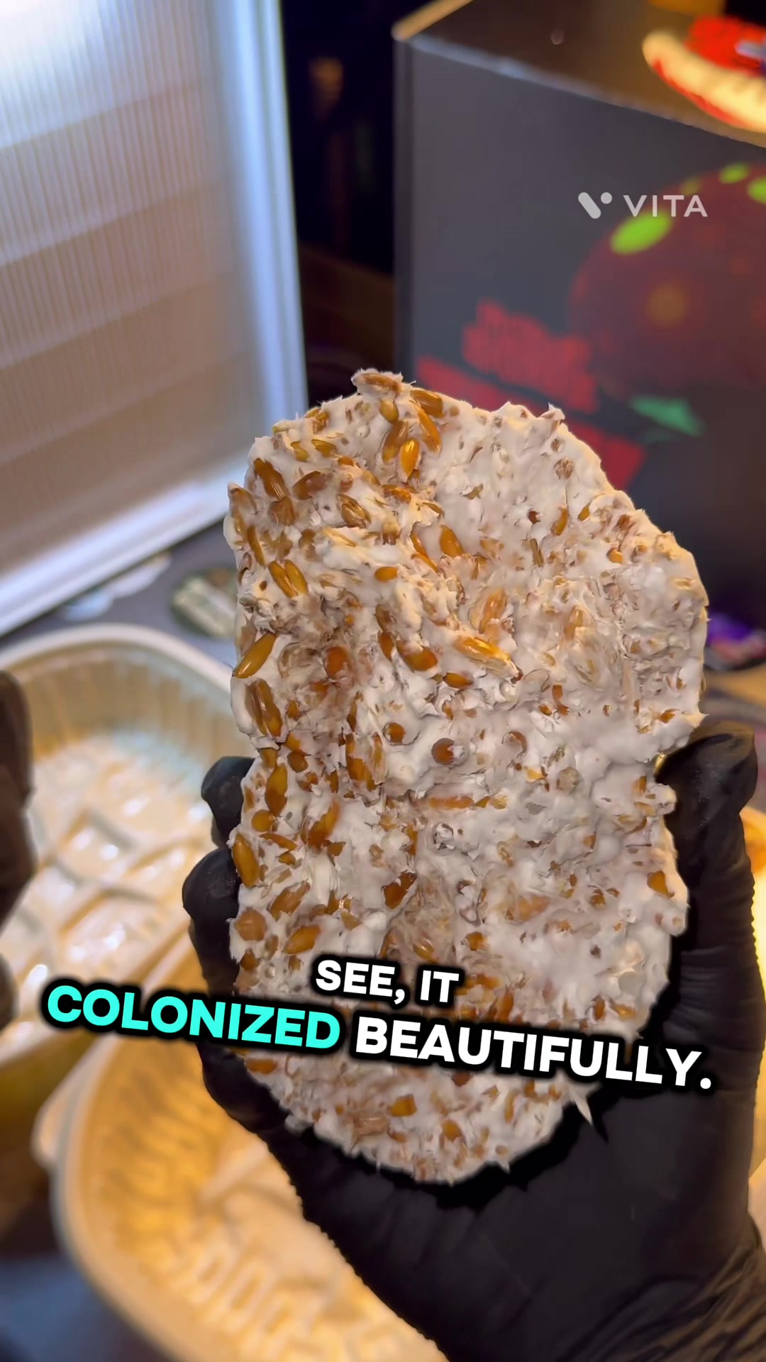 @Green Thumb Yon