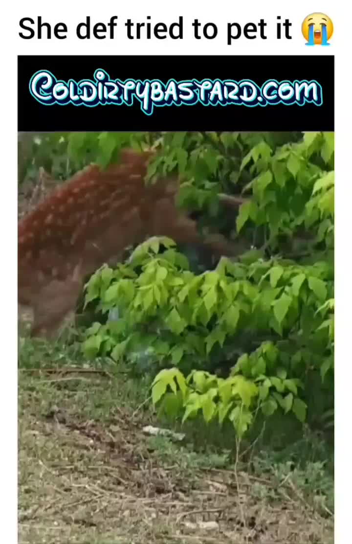 @Yjking