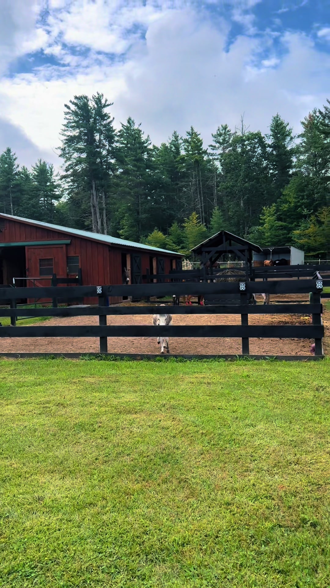 @Unshackled Hearts Ranch
