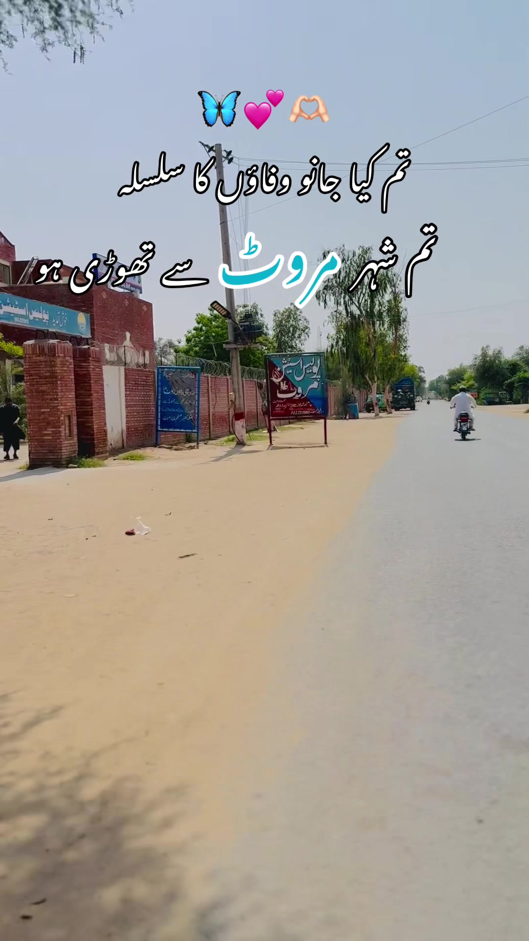 @🩵مروٹ کا دل🩷