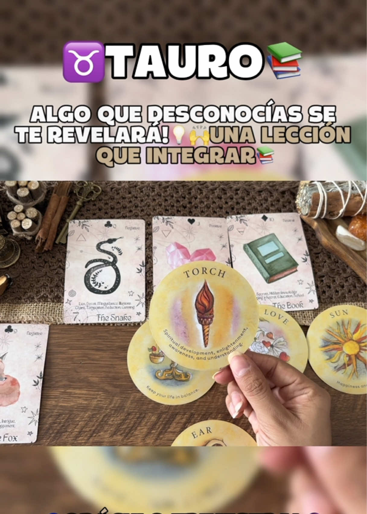 @Andy Sun Tarot ☀️