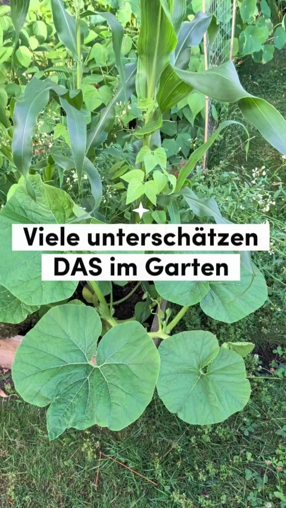@ErnteExperte