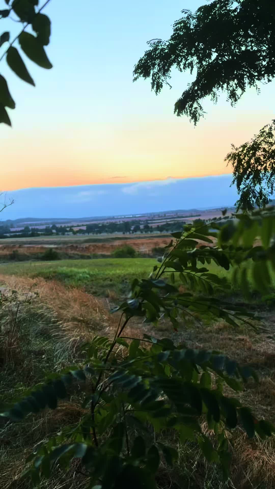 @pxpe.be