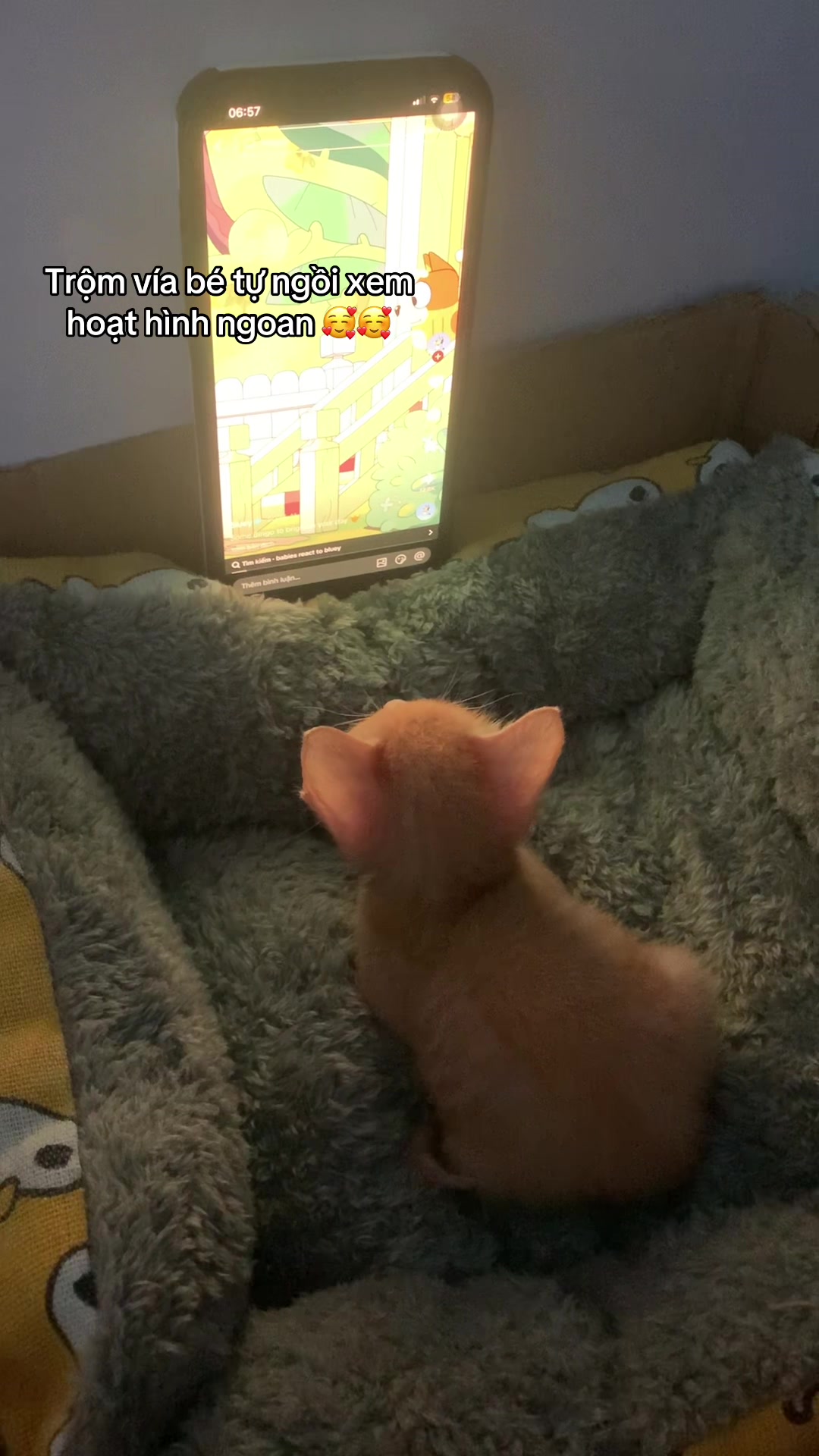@Trú mèo tên mimi