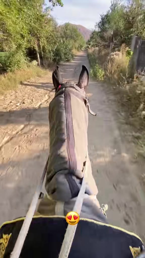 @jockey.hors