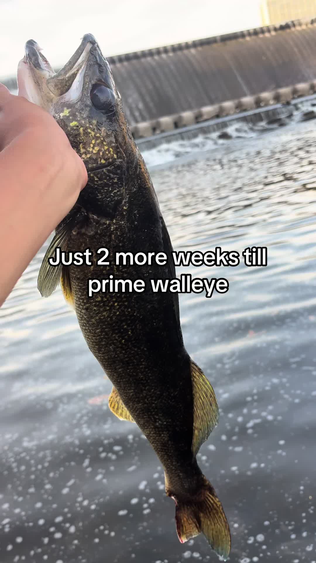 @Minnesota anglers