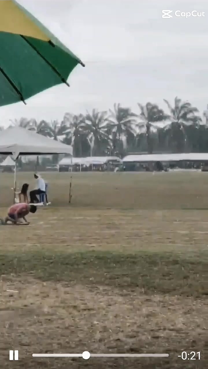 @飛龍