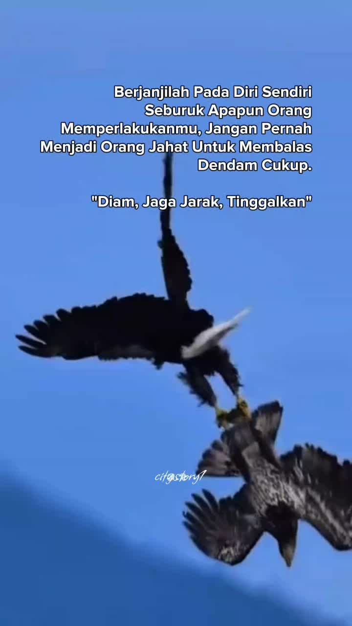 @city.story1